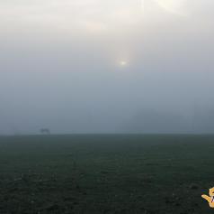 Toplo za december, a marsikje bo megla vztrajala ves dan