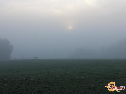 Toplo za december, a marsikje bo megla vztrajala ves dan