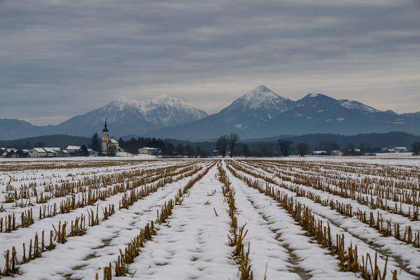 Sveta Barbara – dan, ko zima pokaže, koliko snega prinaša