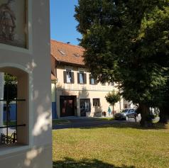 Zaradi odstranitve dreves zaprt dostop do parkirišč v mestu