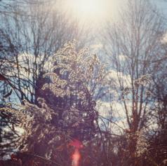 Sonce ali megla? Takšno vreme nas čaka na današnjo soboto