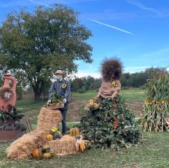 Še zadnji rok: prijavite svoj kraj na razpis za urejene javne površine