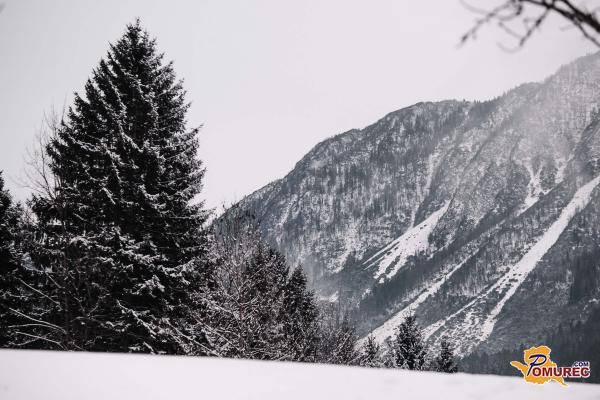 Naša medijska družina se širi: Dobrodošla Gorenjskainfo!