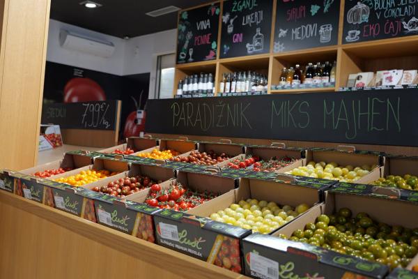 VIDEO: Pomurski paradižnik dokazuje, da sezona traja vse leto