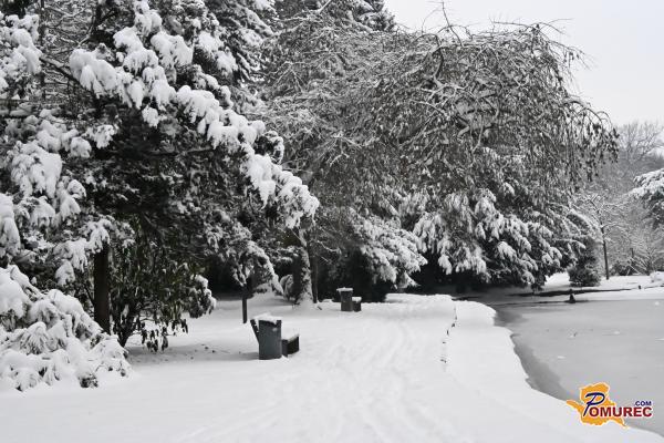 VIDEO: Dežela ob Muri v primežu prave zime