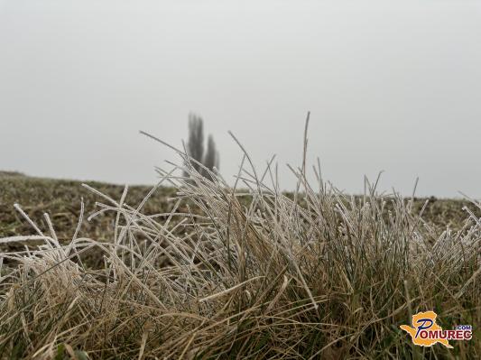 Zima se vrača: ponoči sneg in nizke temperature