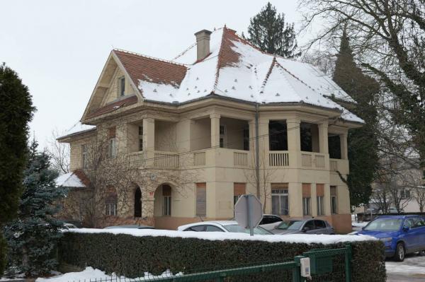 VIDEO: Kakšna usoda čaka Hartnerjevo vilo?