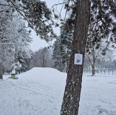 FOTO in VIDEO: V Beltincih so zimo ustvarili sami, zdaj jo je dopolnil še naravni sneg