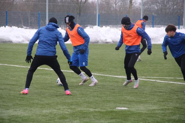 Nafta je okrepila obrambne vrste