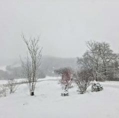 FOTO: Goričko je pod snežno odejo