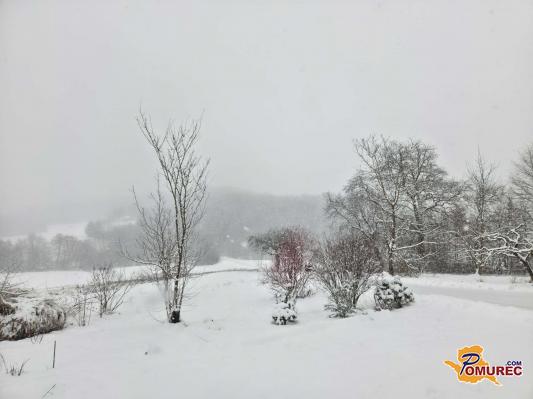 FOTO: Goričko je pod snežno odejo