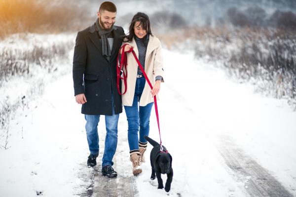 Kaj vam danes napoveduje kitajski horoskop?