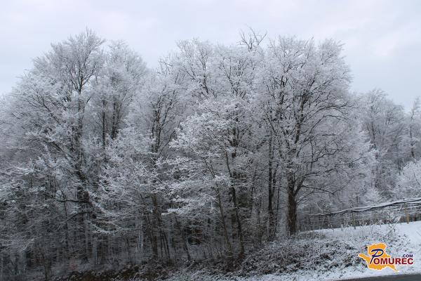 FOTO: Prebudili smo se v zasneženo jutro, a sneg še ni rekel zadnje