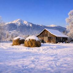 Kaj razkriva vreme na praznik svetih treh kraljev?