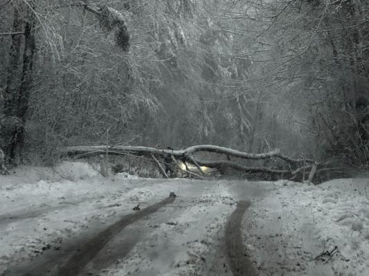 FOTO: Podrta drevesa in zdrsi, promet v Pomurju močno oviran