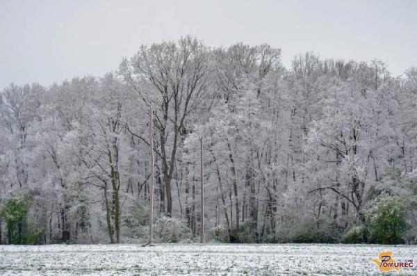 Prihaja ohladitev, na severovzhodu bo snežilo