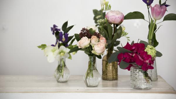 Kako poskrbeti, da bo pomladno cvetje v vazi zdržalo dlje