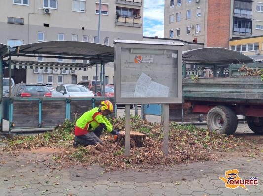 FOTO in VIDEO: Drugi dan del na soboški mestni tržnici