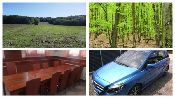 Iščete hišo, zemljišče ali vozilo? To so aktualne dražbe v Pomurju