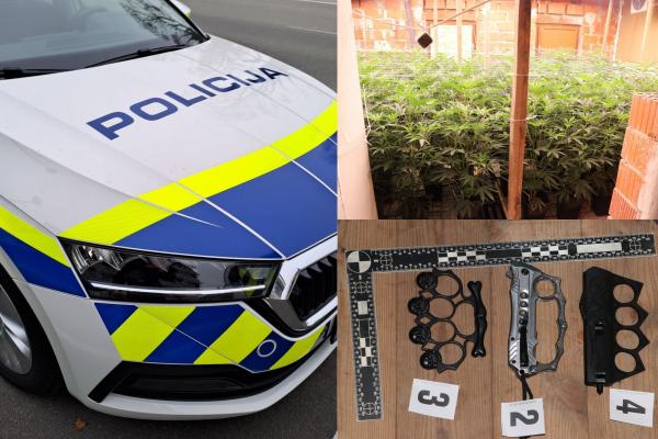 Pomurski policisti odkrili gojenje konoplje in zasegli 220 rastlin zelene barve