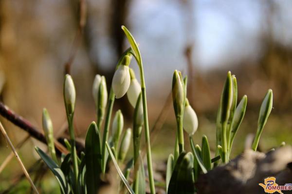 Spremenljivo vreme z rahlimi padavinami, kaj pa jutri? 
