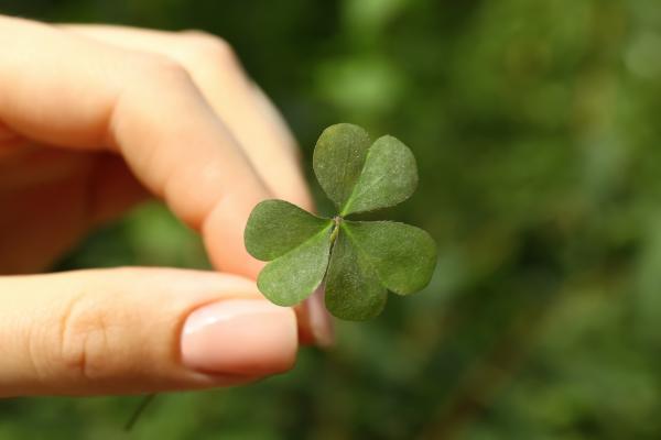 Kaj vam danes napoveduje kitajski horoskop?