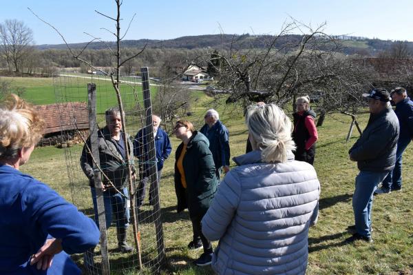 FOTO: Praktični prikaz rezi sadnega drevja na Goričkem pritegnil lastnike sadovnjakov