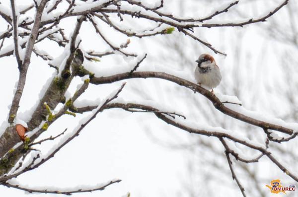 ARSO opozarja: ponoči prihaja močna sprememba vremena