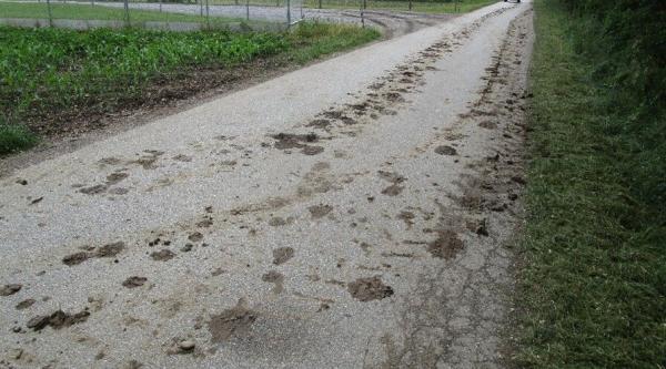 Kmetje, previdno! Zaradi tega vas lahko doleti visoka kazen