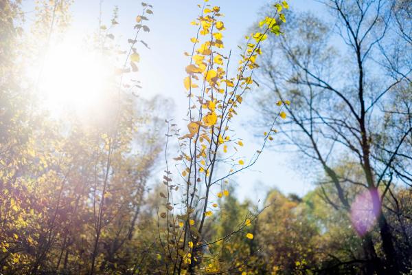 Kakšno vreme nas čaka ta konec tedna?