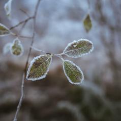 Prodor polarnega zraka bo prinesel občutno ohladitev, meja sneženja se bo spuščala
