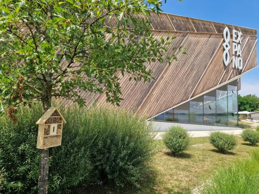 V Expanu ob 8. marcu pripravljajo posebno doživetje in skrivnostno pozornost