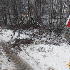 Snegolom v Pomurju podrl 60.000 kubičnih metrov drevja, a nevarnost še ni mimo