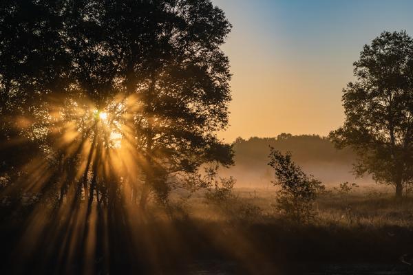Po topli nedelji možnost padavin, kako bo v prihodnjih dneh?
