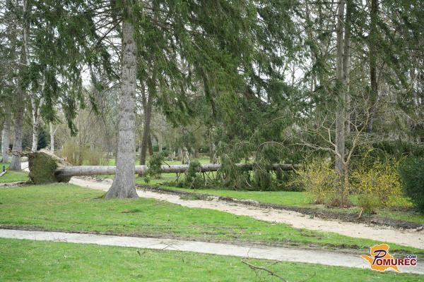 VIDEO: Orkanski veter pustošil po Pomurju