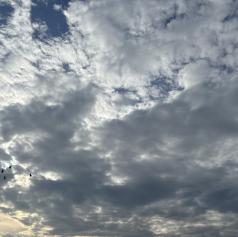 Danes še nekaj oblakov, jutri več sonca