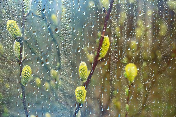 Ljudski vremenar napoveduje hladen maj, kaj nas čaka za praznike?