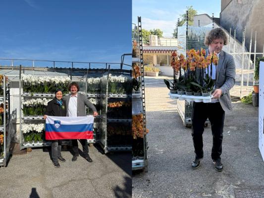 FOTO: Pomurske orhideje naravnost v srce Vatikana