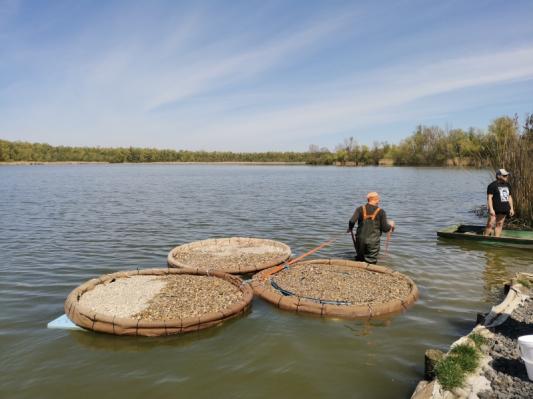 FOTO: Kaj predstavlja nov otok na pomurskem jezeru? V ozadju zanimiv poskus