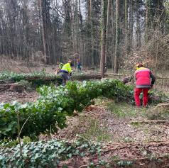 FOTO: Gasilci na Goričkem nadgrajevali znanje za varno delo z motorno žago