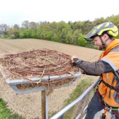 FOTO: V Selu postavili gnezdo za štorklje, zdaj čaka na prvega stanovalca