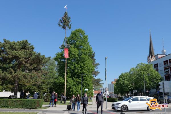 FOTO in VIDEO: V Murski Soboti pred praznikom dela postavili mlaj, sindikati opozorili na pravice delavcev