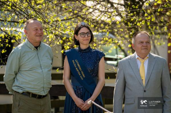 V Ljutomeru opravili rez potomke najstarejše trte na svetu