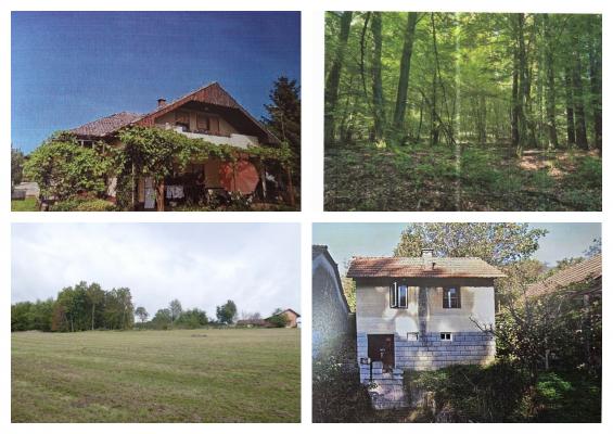 Iščete hišo ali zemljišče? To so aktualne dražbe v Pomurju