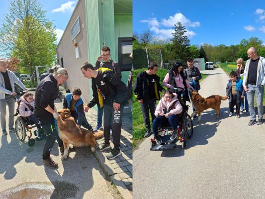 FOTO: Srčen obisk v Zavetišču Mala hiša, učenci razveselili živali in oskrbnike