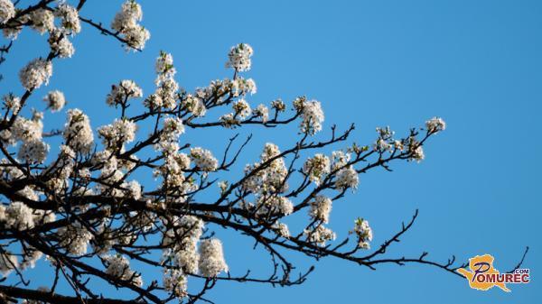 Danes do 23 stopinj, že jutri oblaki in dež