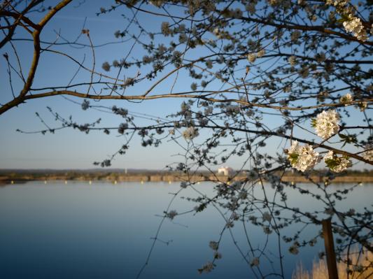Pomladni dnevi prinašajo sonce, jutra pa ostajajo hladna