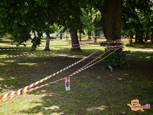 FOTO in VIDEO: Murska Sobota se pripravlja na veliko maturantsko rajanje, mesta v parku so že rezervirana