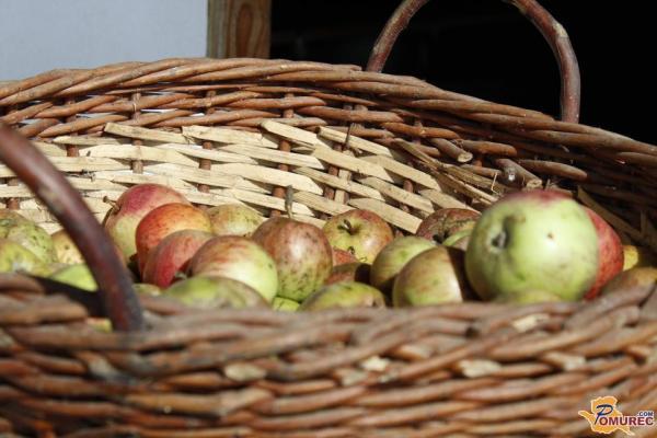 Vreme znova grozi pridelku, najbolj na udaru sadovnjaki in vinogradi
