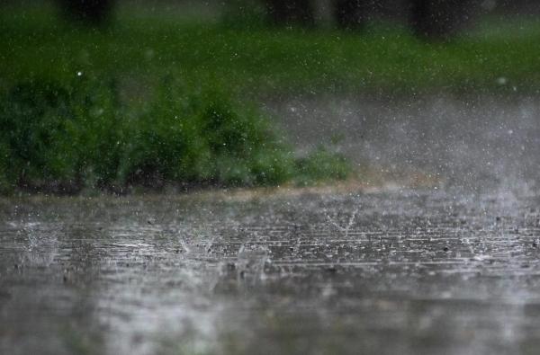 Dopoldne bo sončno, popoldne možna krajevna neurja